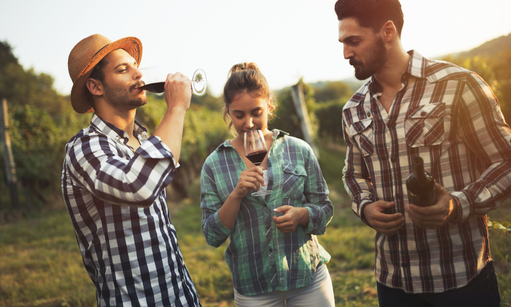 Tourists tasting wine in vineyard, Seattle