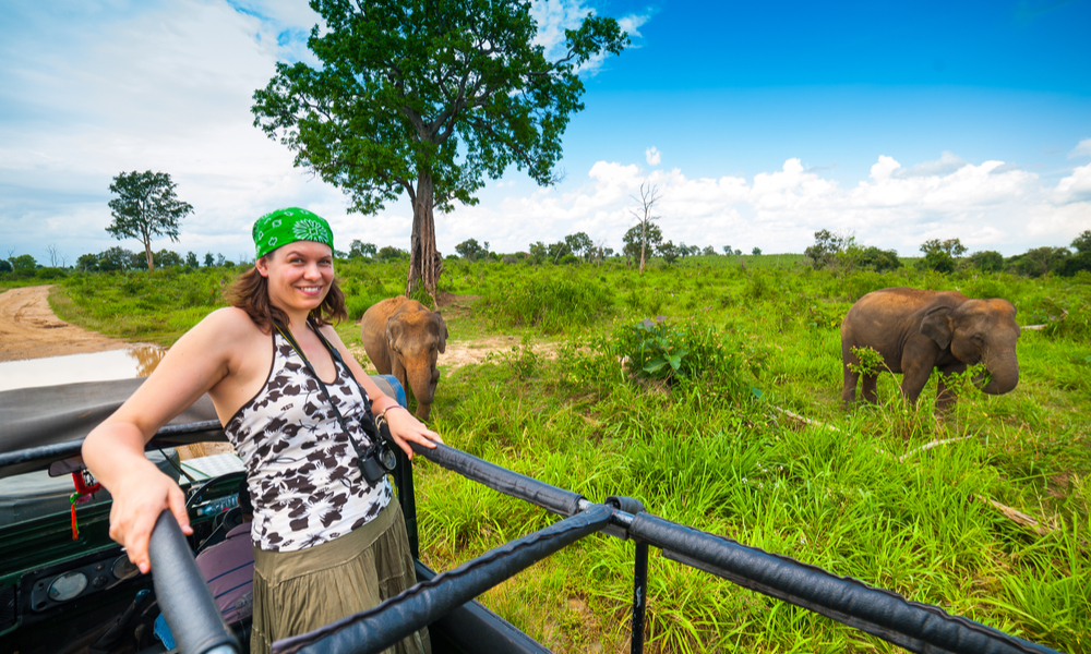 Young woman in a safari jeep in Sri Lanka meets a group of elephants