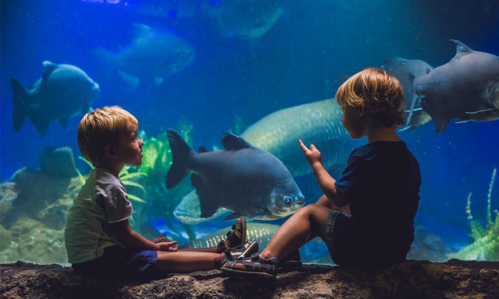 kids at an aquarium