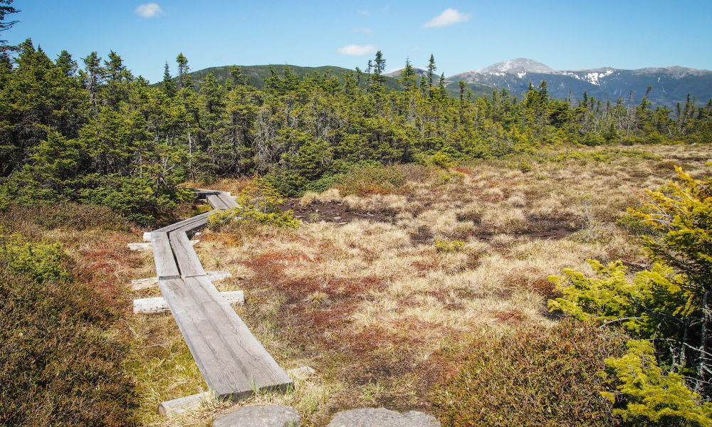 mount-washington-hiking-trail