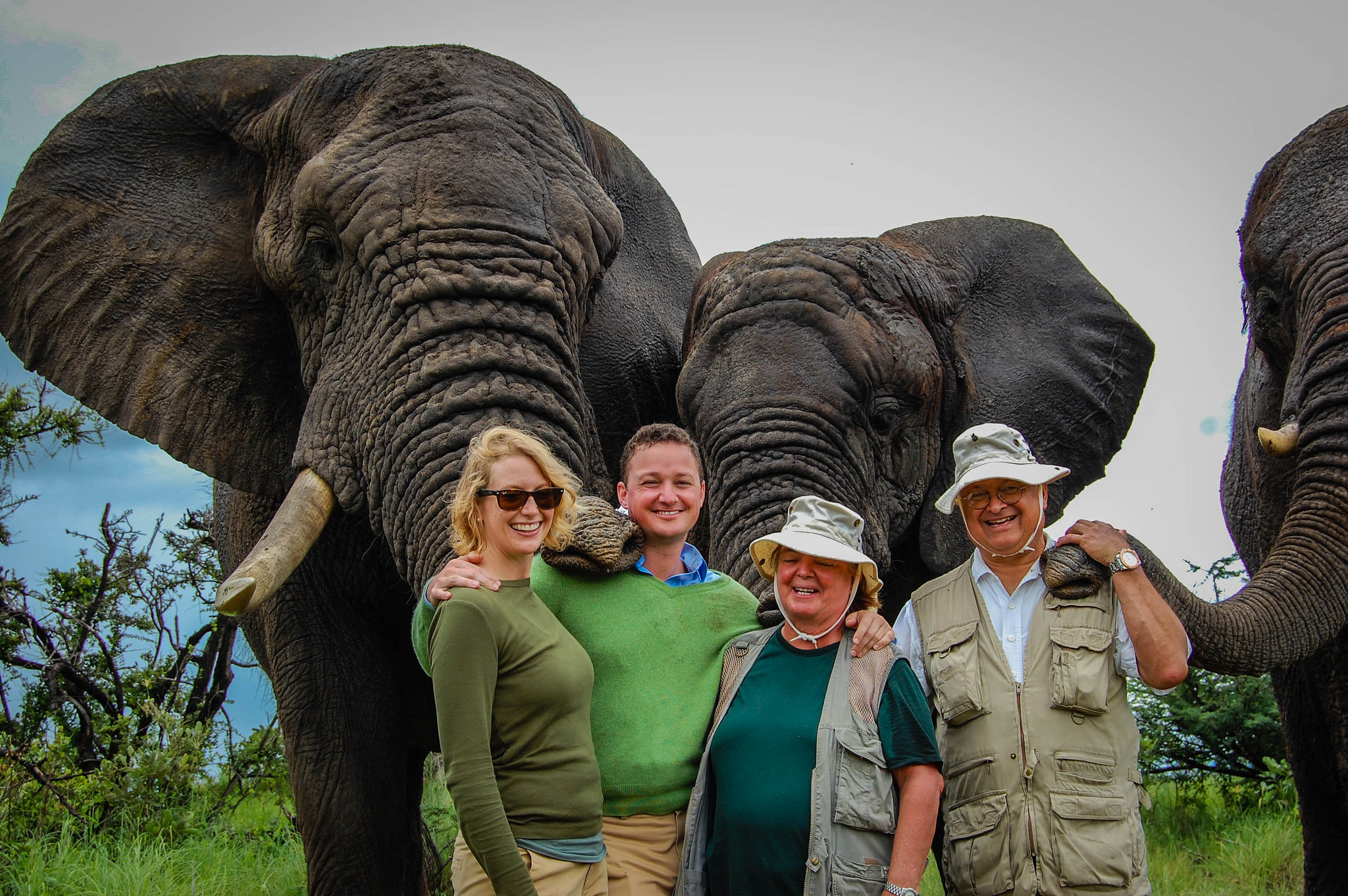 safari-in-africa