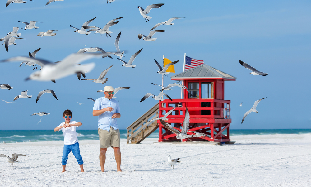 a child and father watch seagulls on the beach