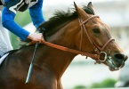 horse_racing-u-s-_races