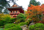 san_francisco-japanese_tea_garden