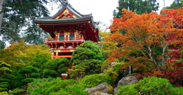 san_francisco-japanese_tea_garden