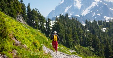 Hike in North Cascades National Park,Washington