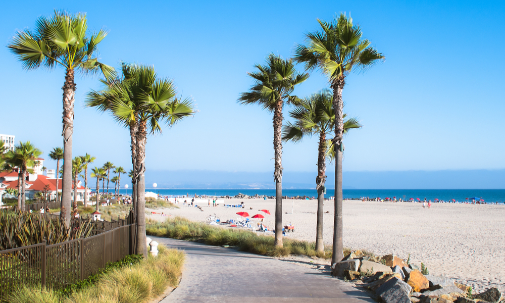 Beach and Palm Trees in San Diego, Southern California Coast, USA