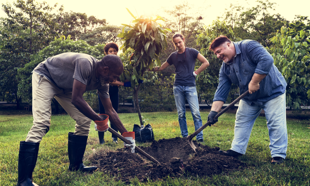 Group of Diverse People Digging Hole Planting Tree Together