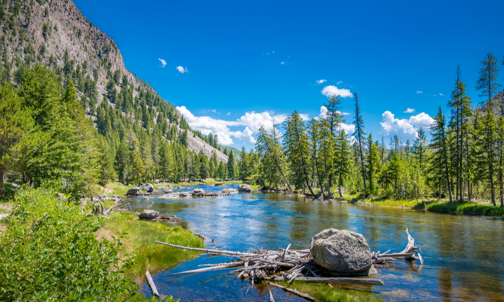 scenery at yellowstone-national-park