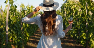 US wine regions to visit