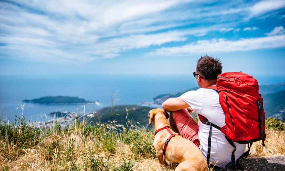 Man with red backpack and small yellow dog sitting on a mountain and looking at sea horizon