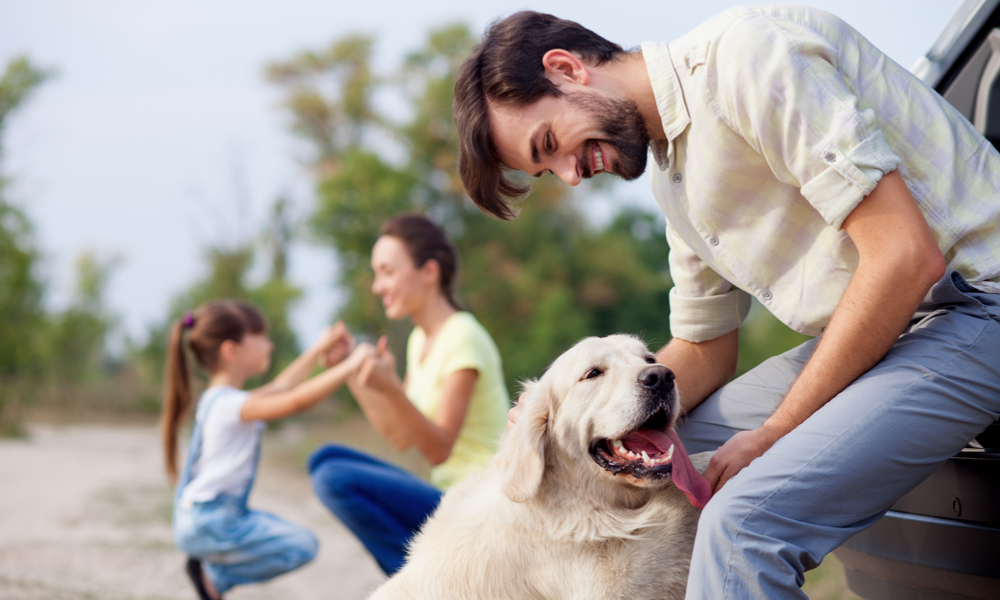 traveling with pets