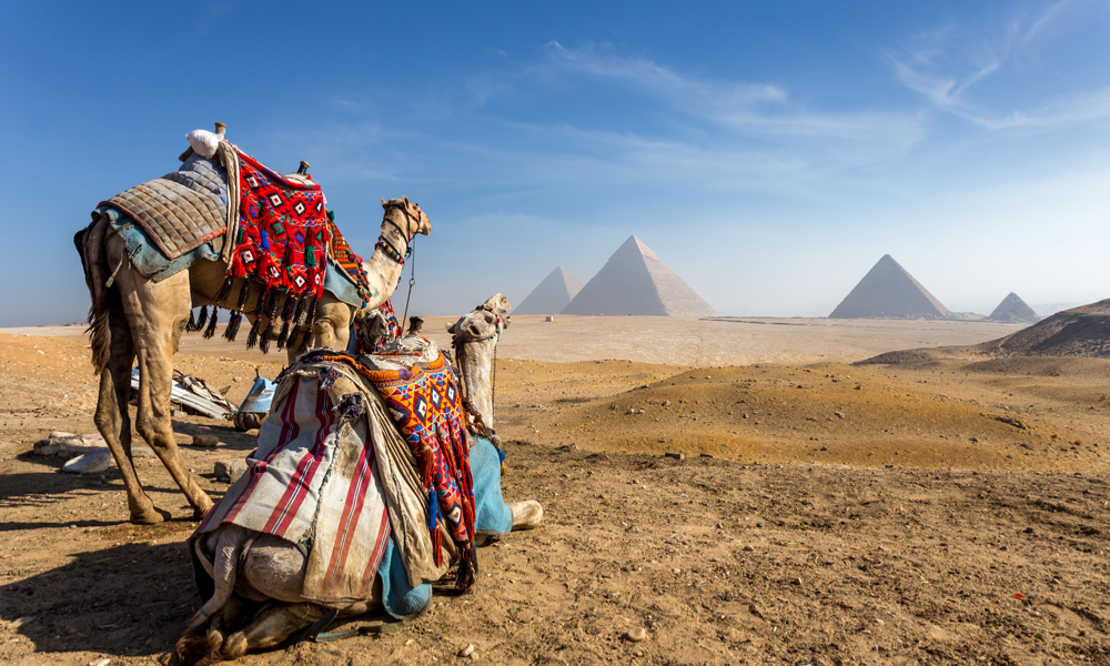 Egypt. Cairo - Giza. General view of pyramids 