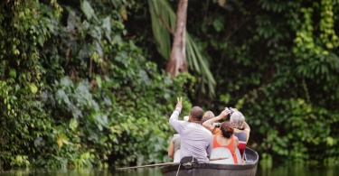 The tour guide shows tourists in a canoe the beauty of the nature at a river in the Tortugero National Park, Costa Rica