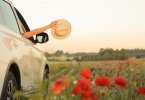 roadtrip through flower field