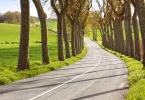 Country road in southern France