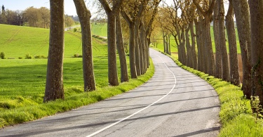 Country road in southern France