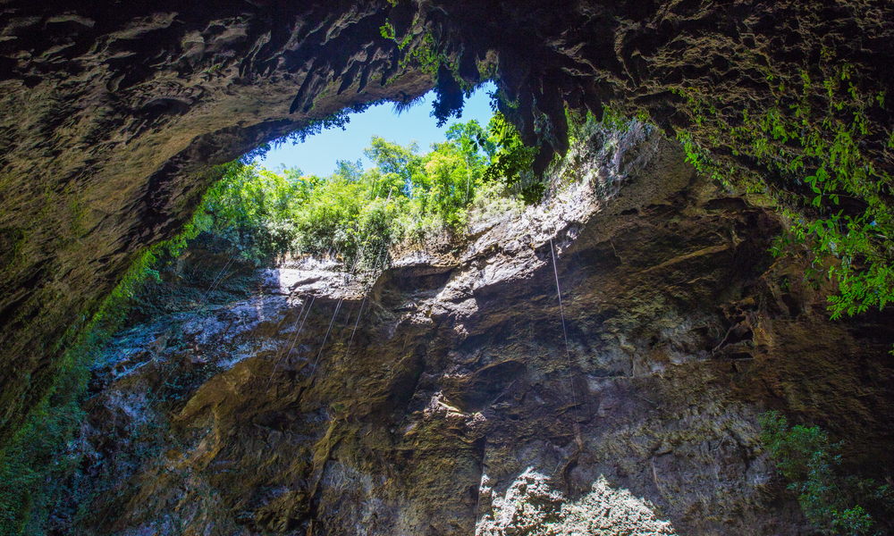 Rio Camuy Cave Park