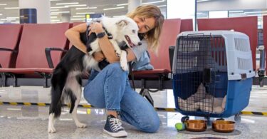 Woman traveling with dog