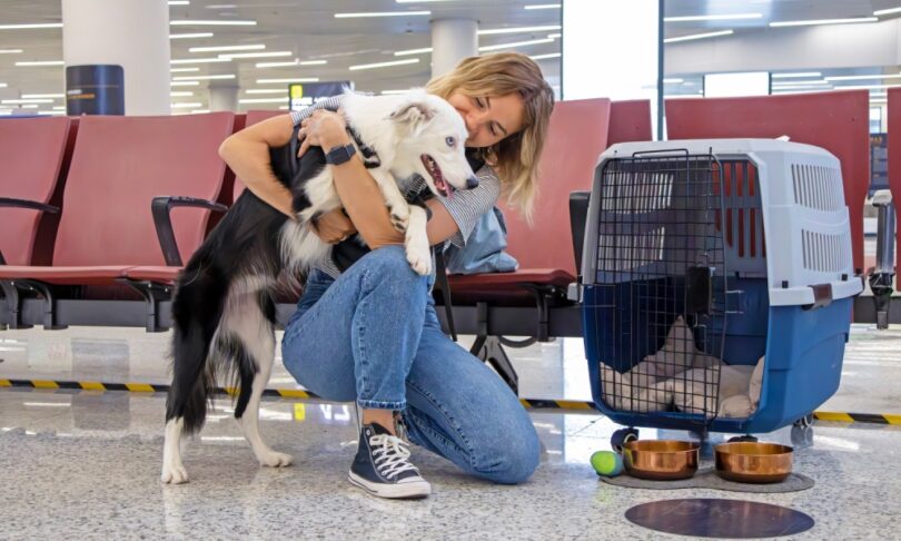 Woman traveling with dog