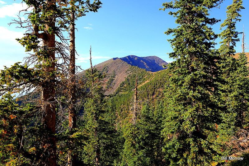 Snowbowl Arizona