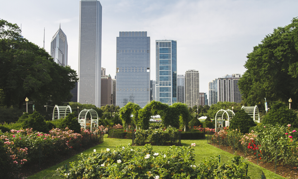 Things to Do in Chicago with Kids - Grant Park