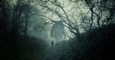 Giant beast in the forest