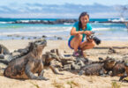 Girl photographing an iguana