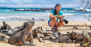 Girl photographing iguana