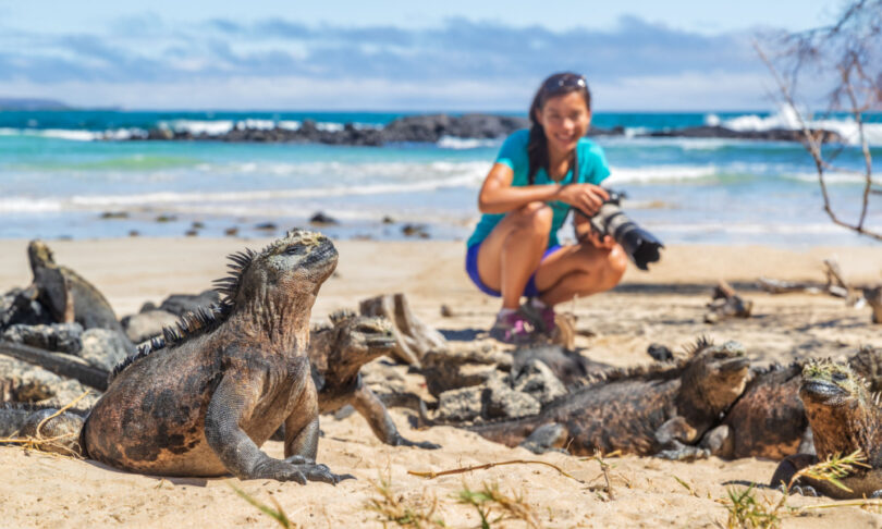 Girl photographing an iguana