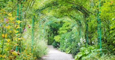 Grounds for Sculpture Garden in Hamilton, New Jersey