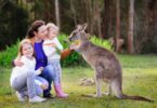 Family feeding a kangaroo