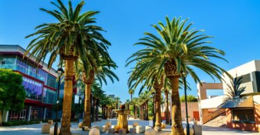 Paseo de Cesar Chavez at San Jose State University in California