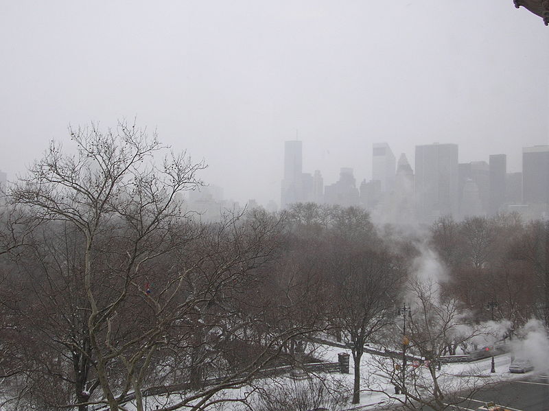 Snow falls over Central Park (Image: Wikimedia)